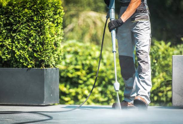 Best Spring Cleaning  in St Helen, MI