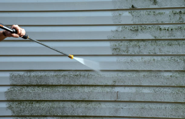 Best Solar Panel Cleaning  in St Helen, MI